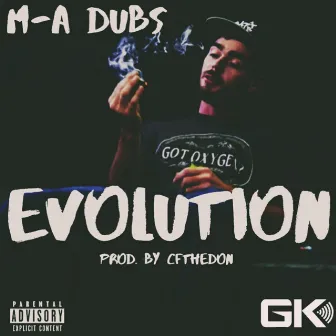 Evolution by M-A DUBS