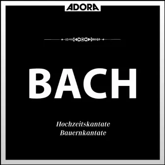 Bach: Hochzeitskantate No. 202, Bauernkantate No. 212 by Ursula Buckel