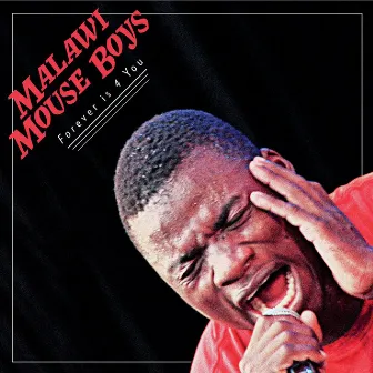 Forever Is 4 You by Malawi Mouse Boys