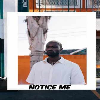 Notice Me by Floyd Zion