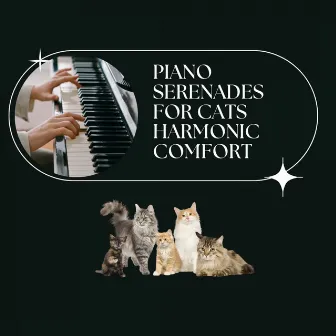 Piano Serenades for Cats: Harmonic Comfort by Kid Mini