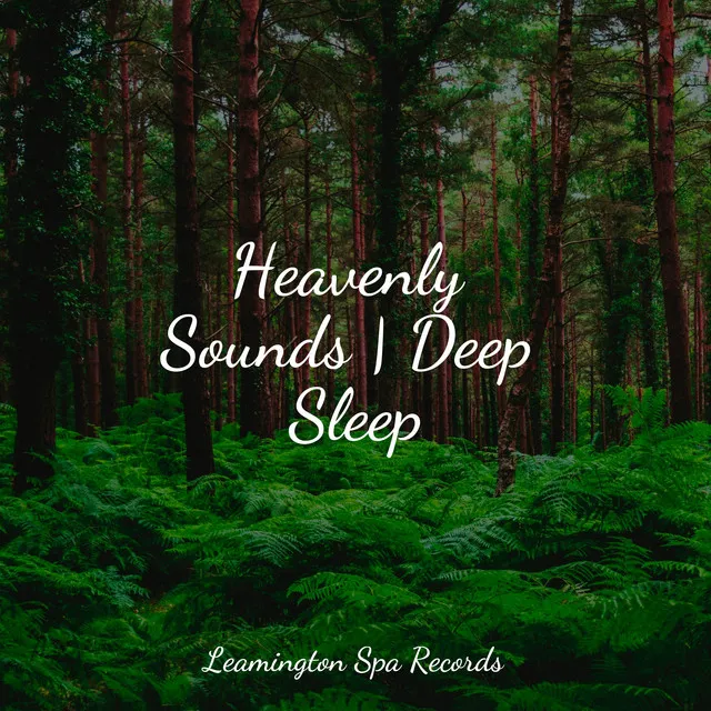 Heavenly Sounds | Deep Sleep