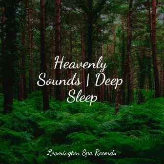 Heavenly Sounds | Deep Sleep by Rain Makers