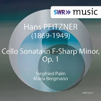 Pfitzner: Cello Sonata in F-Sharp Minor, Op. 1 by Siegfried Palm