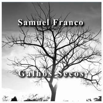 Galhos Secos by Samuel Franco