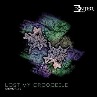 Lost My Crocodile by Drumdrive