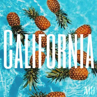 CALIFORNIA by AIR SKY