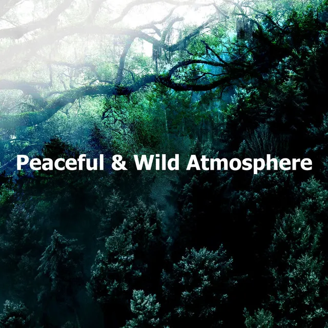 Peaceful & Wild Atmosphere