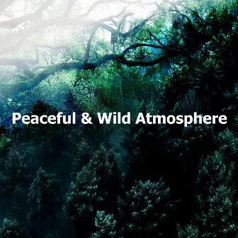 Peaceful & Wild Atmosphere by Wilderness Recorders