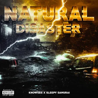 Natural Disaster by Sleepy Samurai