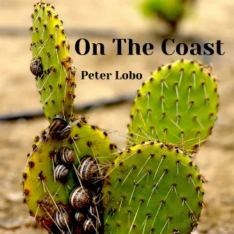 On the Coast by Peter Lobo