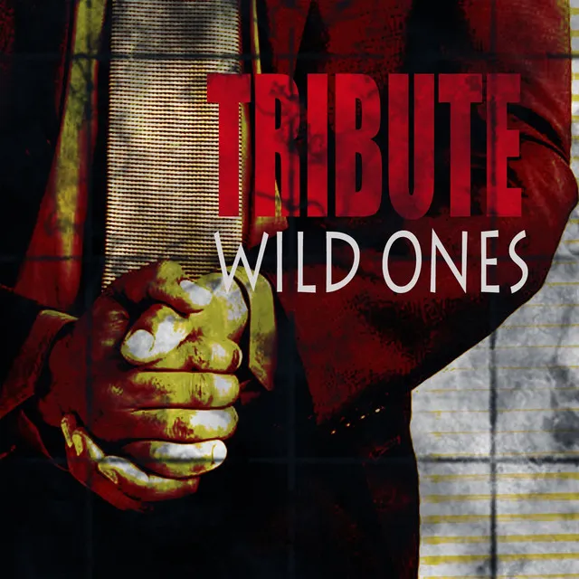 Wild Ones (Flo Rida feat. Sia Tribute)