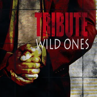 Wild Ones (Flo Rida feat. Sia Tribute) by The Singles