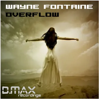 Overflow by Wayne Fontaine