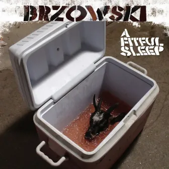 A Fitful Sleep by Brzowski