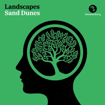 Landscapes - Sand Dunes by Robin Leclair