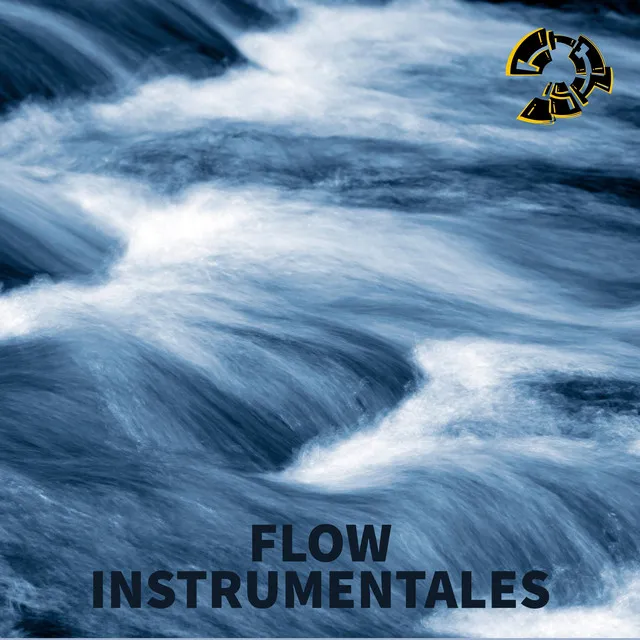 FLOW INTRUMENTALES