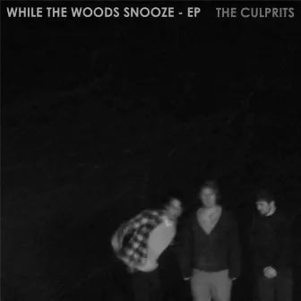 While the Woods Snooze by The Culprits