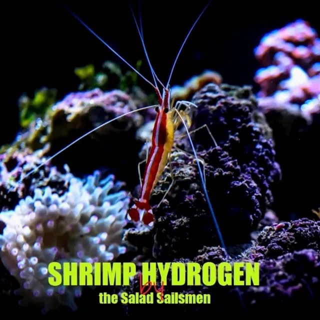 Shrimp Hydrogen