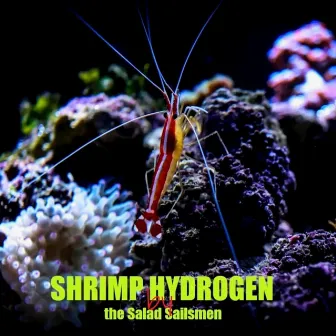 Shrimp Hydrogen by The Dynamos