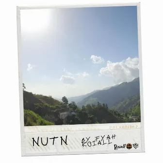 Nutn by Fyah Roiall