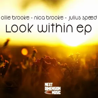 Look Within EP by Nica Brooke