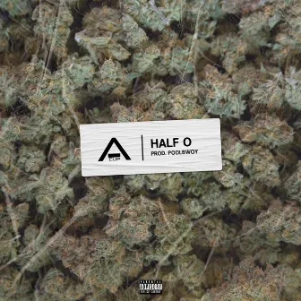 Half O by A-Cup