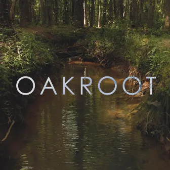 oakroot by grayera