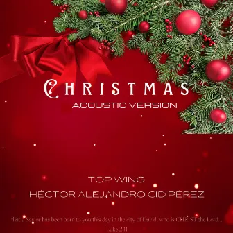 Christmas (Acoustic Version) by Unknown Artist