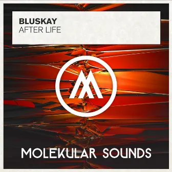 After Life by Bluskay