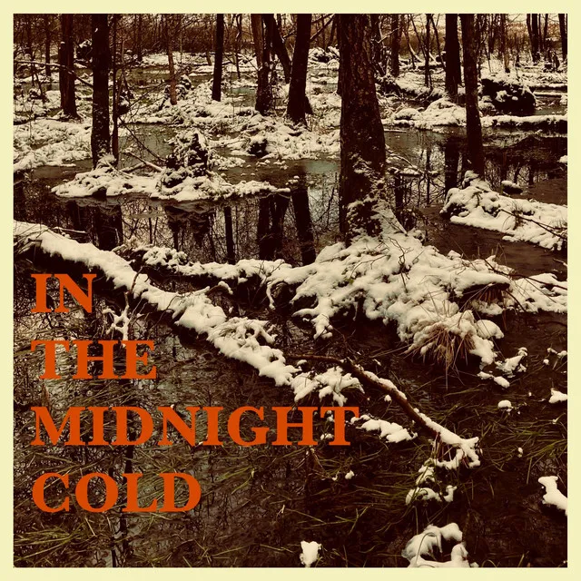 In The Midnight Cold