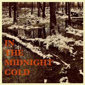 In The Midnight Cold by Sir E