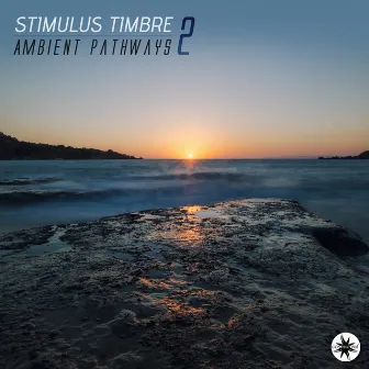 Ambient Pathways, Vol. 2 by Stimulus Timbre