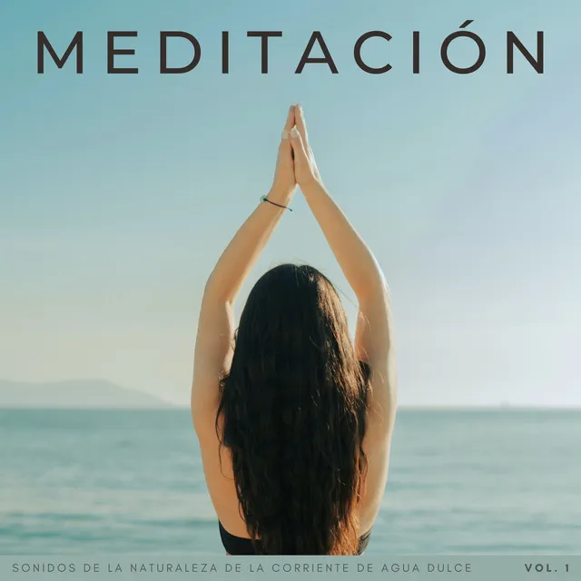 Meditación: Sonidos De La Naturaleza De La Corriente De Agua Dulce Vol. 1