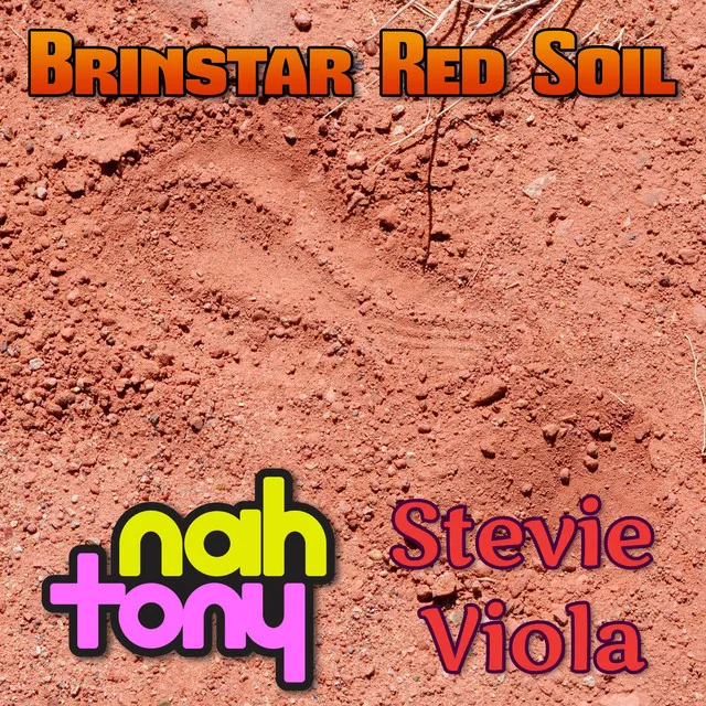 Brinstar Red Soil (From "Super Metroid") - Cover Version