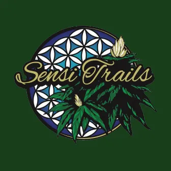 Prohibition by Sensi Trails