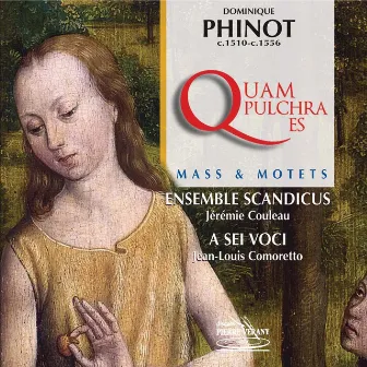 Dominique Phinot : Messe quam pulchra es & Motets by A Sei Voci