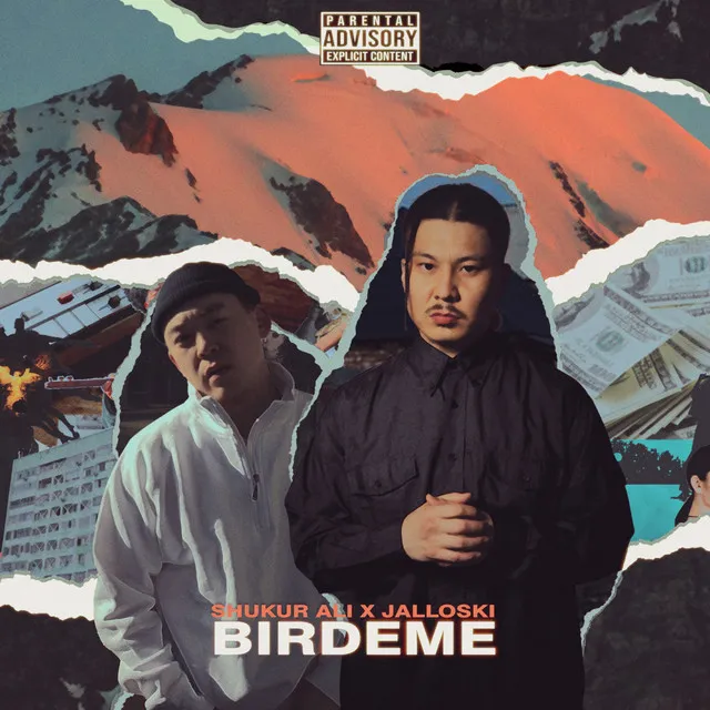 Birdeme