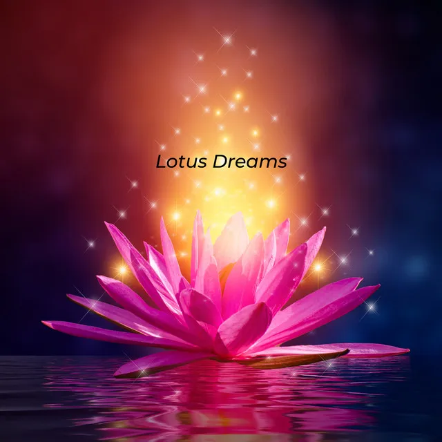 Lotus Dreams