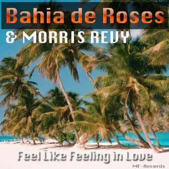 Feels Like Falling in Love by Bahia de Roses