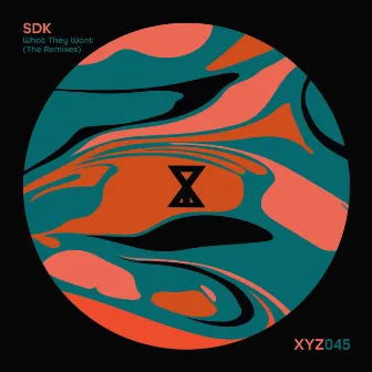 What They Want (Armen Miran Remix) by SDK