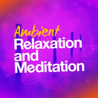 Ambient Relaxation and Meditation by Unknown Artist