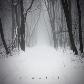 Snowfall by Anica