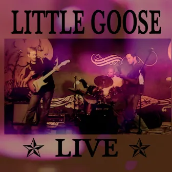 Little Goose Live by Little Goose