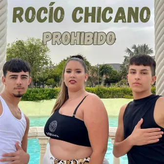 Prohibido by Rocio Chicano