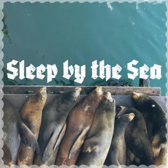 Sleep by the Sea by Ultimate Ocean Waves