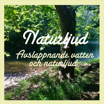 Avslappnande vatten och naturljud by Naturljud