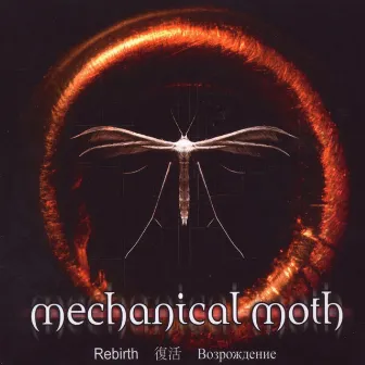 Rebirth by Mechanical Moth