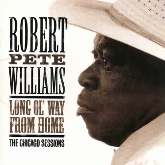 Long Ol' Way From Home by Robert Pete Williams