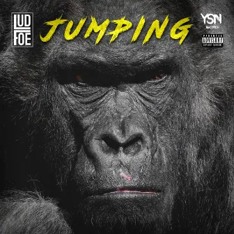 Jumping by Lud Foe